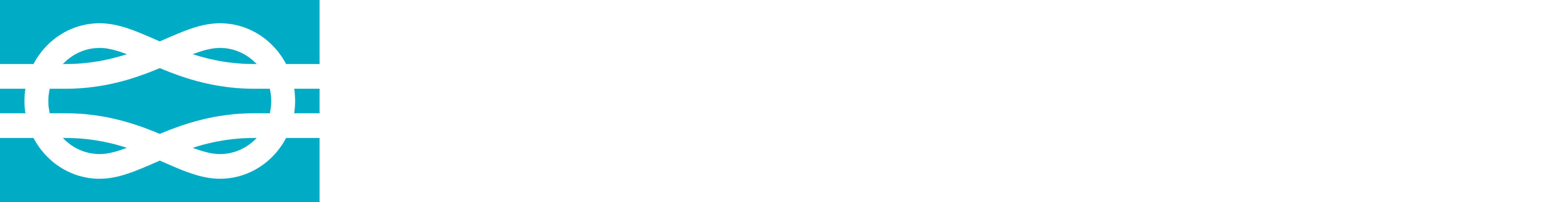 Port Pass [Staging]